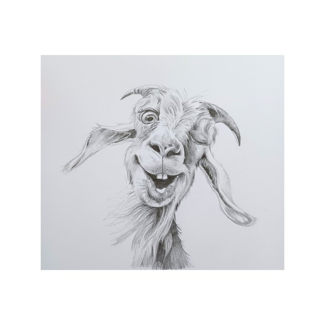 Happy cute goat drawing