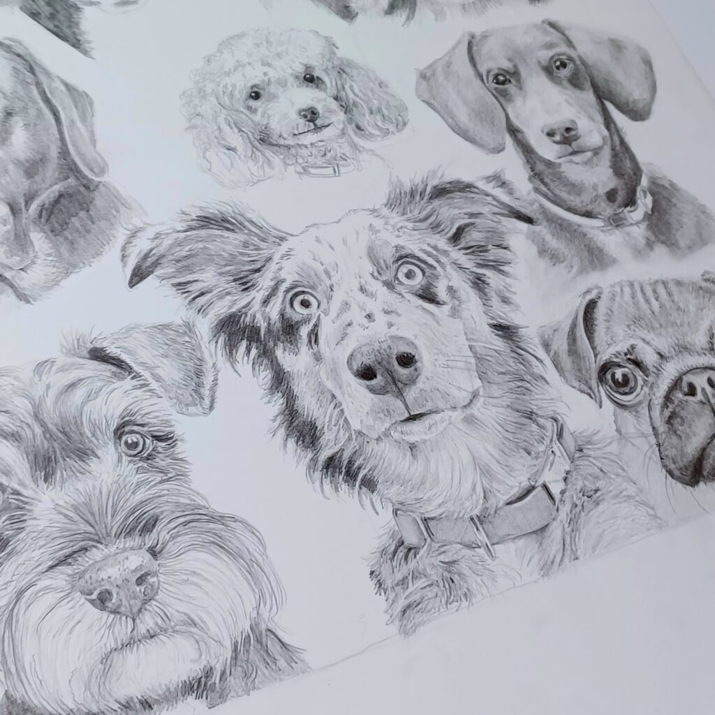 Dog drawing