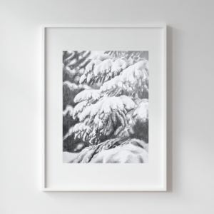 A snowy Norrbotten II